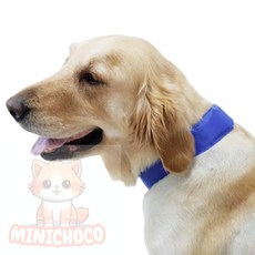 미니초코 강아지쿨스카프 강아지 더위 쿨카라, S