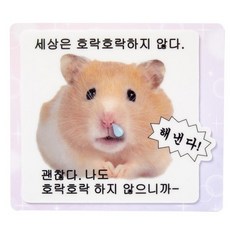 아트박스 마우스패드 해낸다햄스터, 단품없음