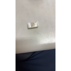 SFF雙B賣場 BENZ E28/E24 車門飾條扣子[白] ，適用於多款奔馳E系列車型，輕鬆更換，保持車門飾條穩固，提升車輛美觀, 1個