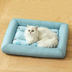 리빙공감 댕냥이 쿠션빵빵 쿨매트, 블루캣, 2개