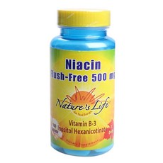 Nature's Life 菸酸無沖洗 500 毫克片劑, 100 件, 1個