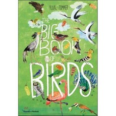 The Big Book of Birds, ThamesandHudson