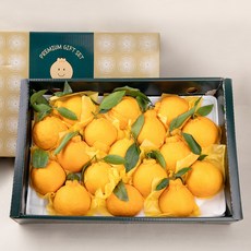 [선물세트] 제주직송 한라봉2kg 3kg 5kg, 5kg 대과(9-18과)부직포 가방, 1개, 5kg 대과 (9~18과)