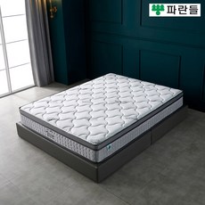 일루아베드 단디24T 화이트텐셀원단 코일스프링 매트리스, 24cm