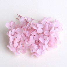 화연양화 프리저브드플라워 수국 1g 30색, 05 오키드