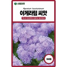 세계종묘 아게라텀 씨앗 100립 멕시코엉겅퀴 일년생 꽃씨 종자, 1개