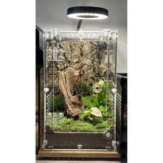 파충류 사육장 아크릴, 1개, 15 x 15x25 베어 박스