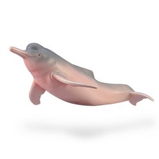 컬렉타 아마존 강 돌고래, 1개