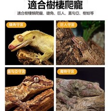 爬寵軟木棍 樹棲寵物造景攀爬棒, 1個, 10CM長度[3.0Cm直徑]