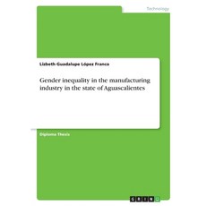 (영문도서)Gender inequality in the manufacturing industry in the state of Aguascalientes Paperback, Grin Verlag, English, 9783389170588