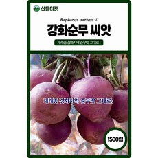 강화순무 씨앗 1500립 재래종 강화지역 순무맛 그대로인 국내산 종자, 1개