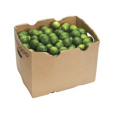 희망푸드 생 라임, 200개, 80g