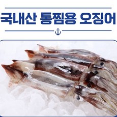 국내산 생물 급냉 통찜용오징어1kg내외 7~8미, 1세트, 1kg내외