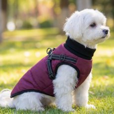 [루루앤코]강아지 등 지퍼형 패딩 / 앞다리 안끼는 편한 디자인, 1개, 버건디