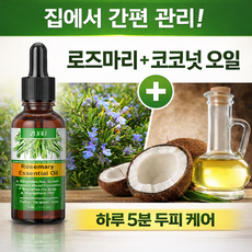 가려움증 마른 두피 분기 된 모발 관리 개선하기 로즈마리 모발 에센셜 오일, 3개, 30ml