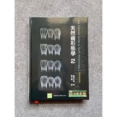 天然齒形態學 2, 1個
