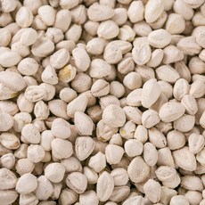 한가람건강원 인도네시아산 모링가씨앗 대용량 효능 약초 약재 600g, 1개