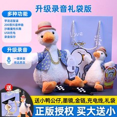 말따라하는 오리 인형 장난감 어린이 움직이는 녹음 말하는 선인장 녹음기능 따라쟁이, 정품 라이센스 수납 플러스 구입 선물, 3. usb 충전식 오리 +녹음가능, 1개