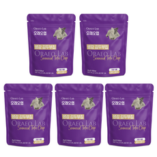 오래오랩 생강 김두부칩 슈퍼푸드 저당간식 김스낵 생강과자 김부각, 5개, 20g