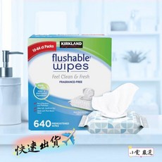 科克蘭濕式衛生紙 64張 X 10包 - 小雯嚴選 濕式衛生紙 濕紙巾, 1個, 10個裝