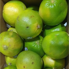 미국 메로골드 청자몽 B급, 1개, 15~16kg 23과 슈퍼점보 특대과(650g 내외)