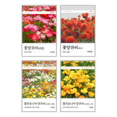 새싹바라기 꽃양귀비 씨앗 4종, 4개