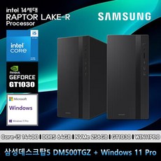 삼성 데스크탑 코어i5 14세대 GT1030 컴퓨터 DM500TGZ-Zi5ADB-GT1030 11PRO i5-14400 64GB SSD256GB 고사양
