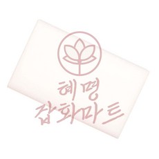 서락 전자레인지 스팀청소 클리너 강한세척