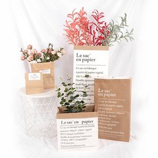 리원스튜디오 크라프트 화분 종이 정리함 페이퍼백 5size 촬영소품_AATRC-001, 브라운_미니(소) - (14cm x 17cm)