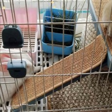 兔子睡墊 磨爪板 劍麻墊 寵物松鼠 龍貓 小寵睡墊 兔兔涼墊, R51梯子墊12*30cm（用於塑料梯）, 1個