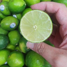 직수입 멕시코산 팬시 생라임 중과(85g내외), 1박스, 5입