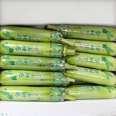 국내산 인큐애호박 특품 못난이 실속형, 1박스, 못난이 5개