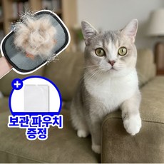 털싹제로 고양이 강아지 털제거 장갑 털갈이 먼지제거 정전기 펫 털 제거 대형, 1개, 블랙옐로우