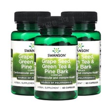 스완슨 그레이프시드 씨드 그린티 파인바크 60캡슐 3개 포도씨 녹차 소나무껍질추출물, 60정