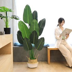 사무실 카페 실내 장식 조화 식물 화분 인테리어 소품, 왕실 첩 쿠이 미디엄, 1개