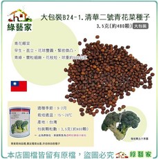 綠藝家 清華二號青花菜種子, 1個