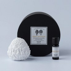 BALLON 聖域系列造型擴香石 - 法國百合 神聖水果 擴香石 精油