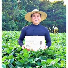 수제 생강 한과 선물세트 1kg 서산이조, 250g, 4개, 강정2+산자2