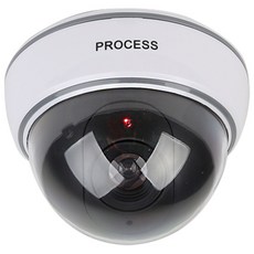이놀 모형 프리미엄 리얼 더미 모형 가짜 CCTV 감시 돔 카메라 IN11C, BOM786, 1개