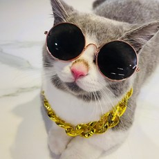 강아지 금목걸이 골드 체인 반려견 액세사리 인싸템 사이즈 조절 체인목걸이, 1개, 대형(L)