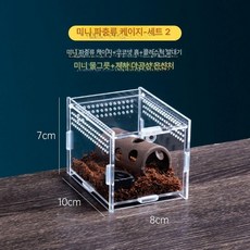 딱정 장수풍뎅이 사슴벌레사육장 달팽이집 사마귀 거미