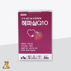헤파실Q10 30정 강아지고양이 간 심장 영양제, 심장/간, 1개