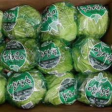쉐프의정원 산지직송 양상추 개별포장 2통 6통(1통 400-600g)