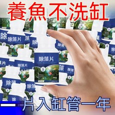魚缸除藻片 養魚不洗缸, 1個, 魚缸除藻[除藻+除苔+淨化]100%,150片濃縮[除藻立見效]