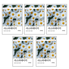 샤스타데이지 씨앗 2000립(코팅 종자 8g), 5개
