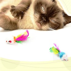 나특몰 쥐돌이 고양이장난감 고양이사냥놀이