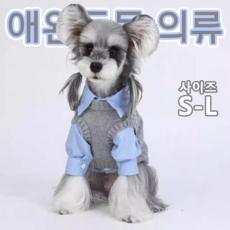 그레이 니트 베스트 셔츠 세트 강아지 학교룩 펫 의상, 1개, Blue