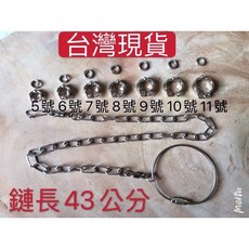 台灣現貨 不銹鋼腳鏈 鸚鵡腳鏈 不鏽鋼 安全防逃脫，輕巧舒適，多尺寸可調節, 不鏽鋼腳鏈, 1個