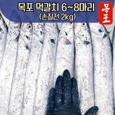 [전남 목포] 먹갈치 생물 6미~8미 손질 후 1.3~1.5kg 산지직송 당일경매, 1개, 2kg(6~9미)