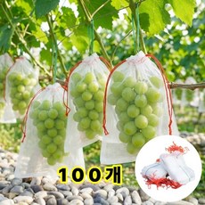 나일론 과수봉지 사과 배 포도 메론 과일 보호망 복숭아 싸는 봉투 작물 메쉬 망 샤인머스캣 망사 주머니 과실 열매 그물망 과수원 비닐하우스 방충방조 재사용 거봉 봉지, 100개